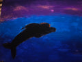 Sunset dolphin painting