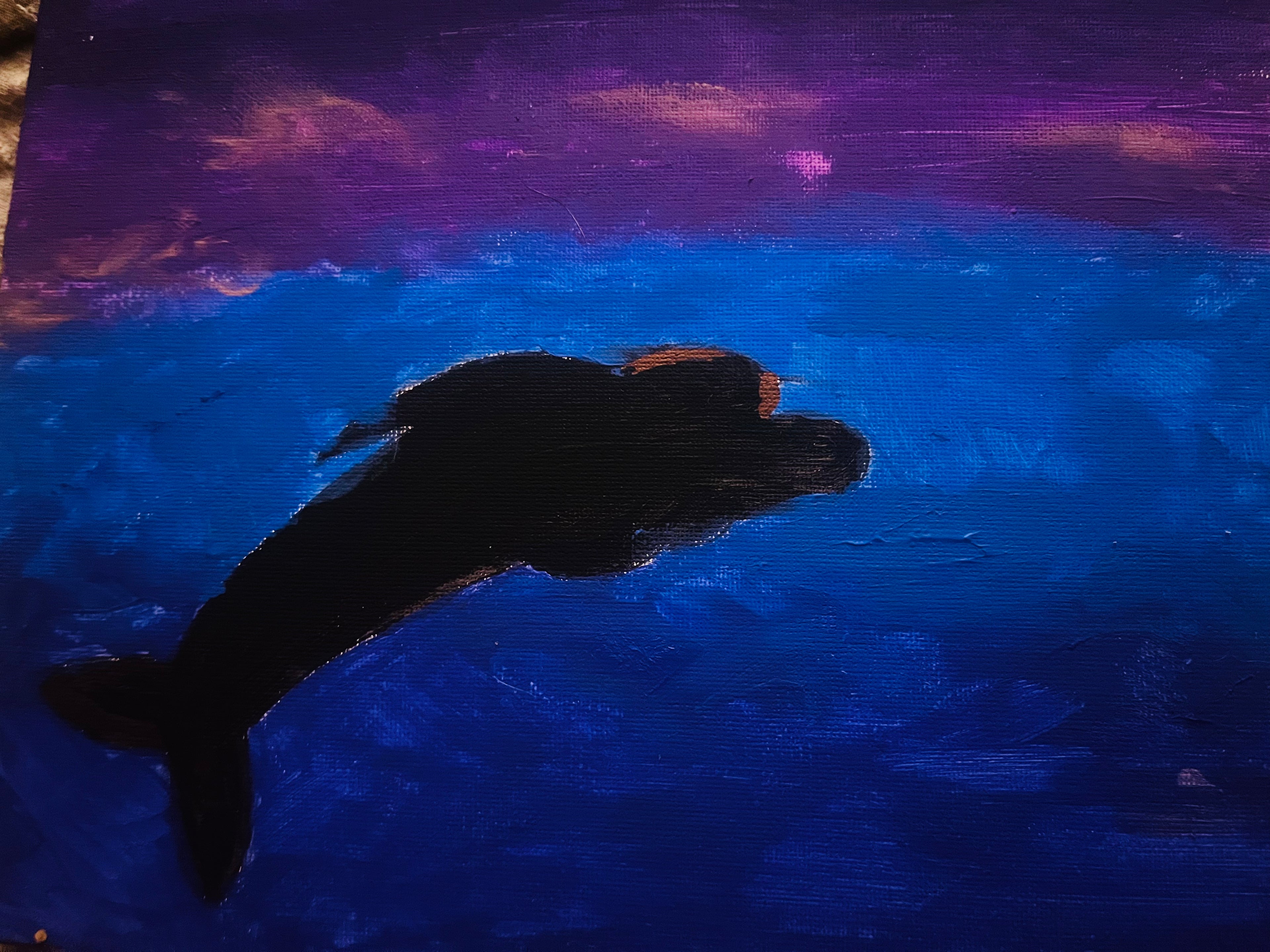 Sunset dolphin painting