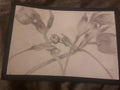 Falling tulips